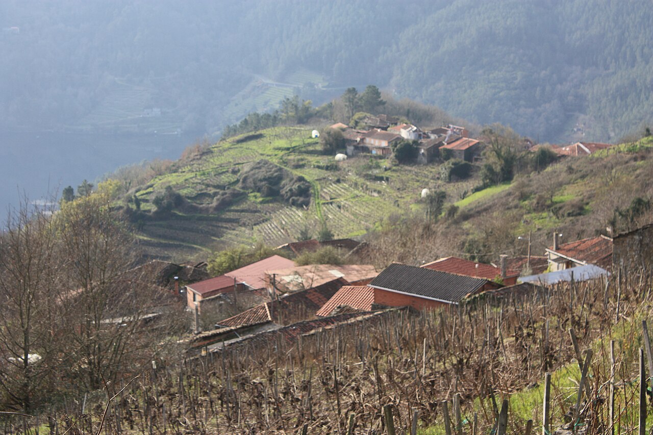 Aldea y bancales de viñedo en Ribeiras de Miño, Pantón